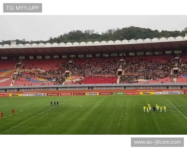 乾县哪里可以买到足球 选择丰富的店铺推荐及购买攻略